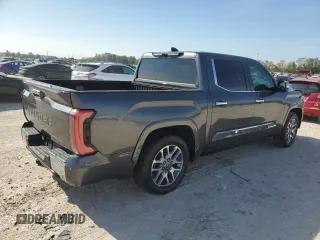 2023 Toyota Tundra 1794 Edition with VIN 5TFMA5AB1PX020609, listed as a Copart auction lot 78865424 with Not provided miles and Non repairable. Bid and sale history available at DreamBid. Image 3.