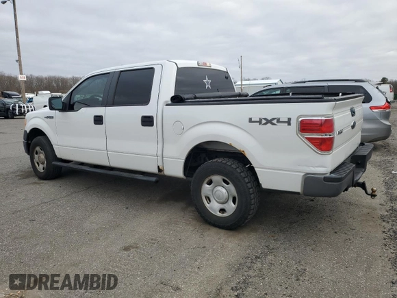 2009 Ford F-150 XL z VIN 1FTPW14V89FB04772, wystawiony jako Copart lot #48988685 z przebiegiem 259 521 mil mil oraz Szkoda całkowita • Salvage title. Historia ofert i sprzedaży dostępna na DreamBid. Obrazek 2.