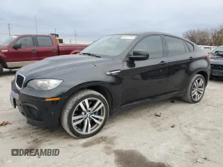 2014 BMW X6 M with VIN 5YMGZ0C56E0C40490, listed as a Copart auction lot 85317174 with 104,630 mi miles and Salvage Title. Bid and sale history available at carsss.com. Image 1.