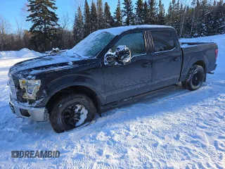 2015 Ford F-150 XLT with VIN 1FTEW1E83FFC62819, listed as a Copart auction lot 88493345 with 295,867 mi miles and Salvage Title. Bid and sale history available at carsss.com. Image 1.