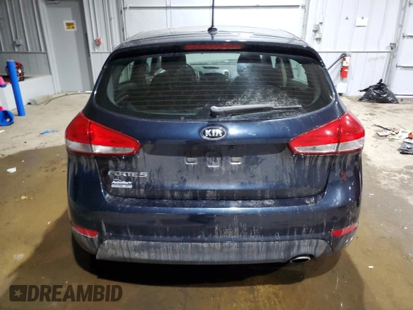 2017 Kia Forte5 LX with VIN KNAFK5A89H5707499, listed as a Copart auction lot 43074665 with 114,205 mi miles and Salvage Title. Bid and sale history available at carsss.com. Image 6.