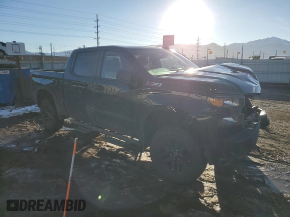 2021 Chevrolet Silverado 1500 Custom Trail Boss with VIN 1GCPYCEF1MZ339213, listed as a Copart auction lot 43138235 with 119,132 mi miles and Salvage Title. Bid and sale history available at DreamBid. Image 4.