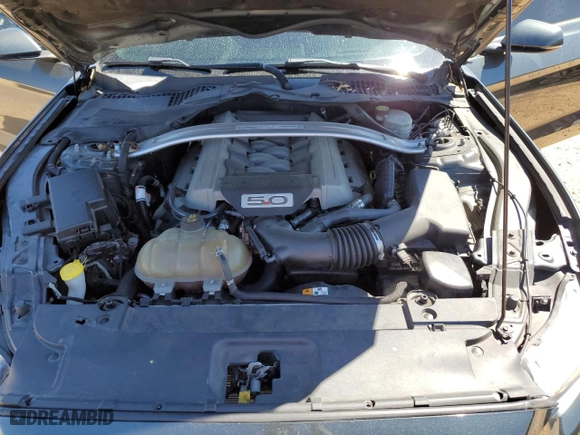 2016 Ford Mustang GT with VIN 1FA6P8CF5G5235923, listed as a Copart auction lot 49459635 with 79,069 mi miles and Salvage Title. Bid and sale history available at carsss.com. Image 13.