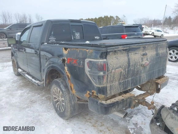2010 Ford F-150 XL with VIN 1FTFW1EV9AFB66096, listed as a IAAI auction lot 41520470 with 155,513 mi miles. Bid and sale history available at carsss.com. Image 3.