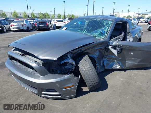 2013 Ford Mustang V6 with VIN 1ZVBP8AM2D5228334, listed as a IAAI auction lot 42164895 with Not provided miles and . Bid and sale history available at DreamBid. Image 2.