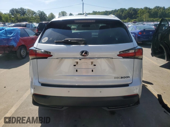 2017 Lexus NX 300h with VIN JTJBJRBZ1H2064647, listed as a Copart auction lot 65437224 with 4,762 mi miles and Salvage title. Bid and sale history available at DreamBid. Image 6.