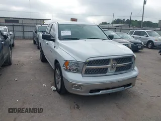 2010 Dodge 1500 SLT with VIN 1D7RB1GP0AS141530, listed as a IAAI auction lot 41879543 with 282,130 mi miles. Bid and sale history available at carsss.com. Image 1.