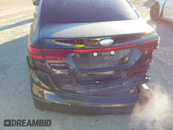 2019 Kia Forte LXS with VIN 3KPF24AD8KE133273, listed as a IAAI auction lot 41816210 with 102,697 mi miles. Bid and sale history available at carsss.com. Image 6.