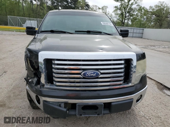 2010 Ford F-150 XL with VIN 1FTEW1C88AFC56624, listed as a Copart auction lot 50648135 with 228,961 mi miles and Salvage Title. Bid and sale history available at carsss.com. Image 5.