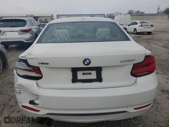 2018 BMW 2 Series 230i xDrive with VIN WBA2J3C52JVD48952, listed as a Copart auction lot 46394065 with 77,274 mi miles and Salvage title. Bid and sale history available at DreamBid. Image 6.