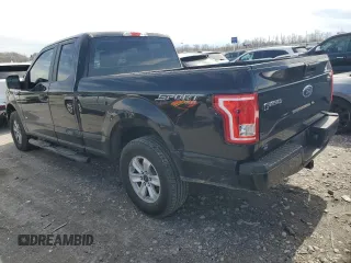 2016 Ford F-150 XLT with VIN 1FTEX1EP6GKD30785, listed as a Copart auction lot 50376035 with 161,343 mi miles and Salvage Title. Bid and sale history available at carsss.com. Image 2.