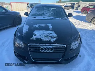 2009 Audi A4 with VIN WAULF68K79N017833, listed as a Copart auction lot 86507584 with 202,534 mi miles and Salvage title. Bid and sale history available at DreamBid. Image 5.