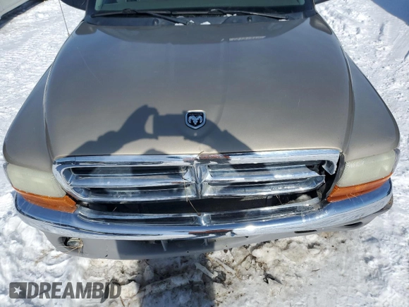 2003 Dodge Dakota SLT with VIN 1D7HG48N03S100510, listed as a Copart auction lot 46191375 with 174,849 mi miles and Clean Title. Bid and sale history available at carsss.com. Image 12.
