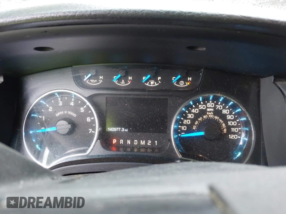 2013 Ford F-150 XL with VIN 1FTFX1EFXDFB89719, listed as a IAAI auction lot 42310707 with 142,977 mi miles and . Bid and sale history available at DreamBid. Image 7.