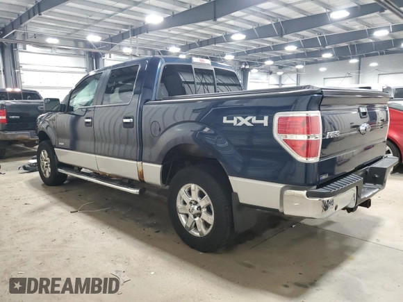 2013 Ford F-150 XL with VIN 1FTFW1ET1DKG51049, listed as a Copart auction lot 44202195 with 133,415 mi miles and Salvage Title. Bid and sale history available at carsss.com. Image 2.