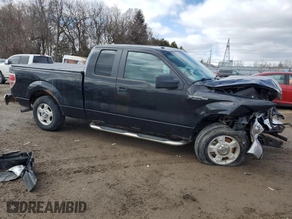 2013 Ford F-150 XL with VIN 1FTEX1CM4DFA97115, listed as a Copart auction lot 49899335 with Not Provided miles and Salvage Title. Bid and sale history available at carsss.com. Image 4.