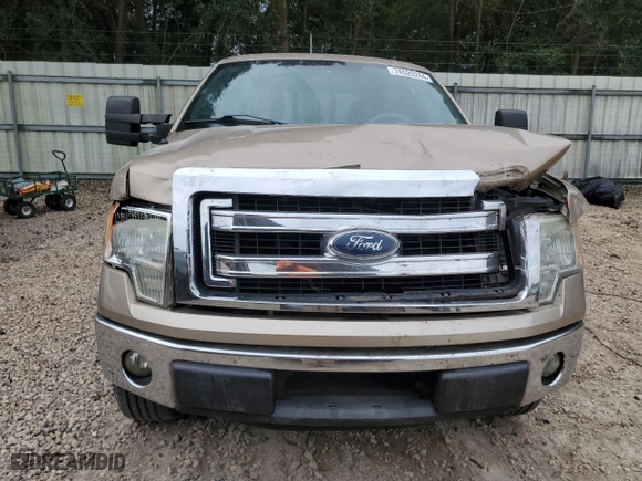 2013 Ford F-150 XL with VIN 1FTEW1CM4DKD11109, listed as a Copart auction lot 74520244 with 194,773 mi miles and Salvage Title. Bid and sale history available at carsss.com. Image 5.
