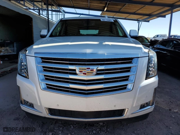 2016 Cadillac Escalade Platinum with VIN 1GYS3DKJ7GR344163, listed as a Copart auction lot 49719985 with 58,947 mi miles and Salvage Title. Bid and sale history available at carsss.com. Image 5.