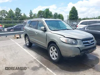 2007 Hyundai Santa Fe SE with VIN 5NMSH13E77H128941, listed as a IAAI auction lot 42641419 with 209,159 mi miles and . Bid and sale history available at DreamBid. Image 1.
