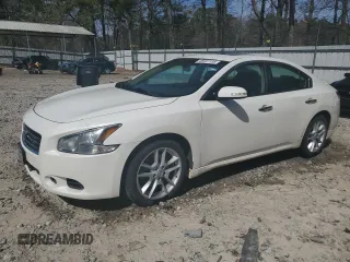 2010 Nissan Maxima 3.5 SV w/Premium Pkg with VIN 1N4AA5AP1AC844354, listed as a Copart auction lot 49237155 with 177,744 mi miles and Salvage Title. Bid and sale history available at carsss.com. Image 1.