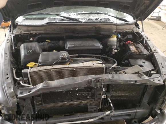 2002 Dodge 1500 with VIN 1D7HU18N42S581898, listed as a Copart auction lot 45700605 with 185,689 mi miles and Salvage Title. Bid and sale history available at carsss.com. Image 11.