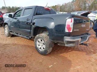 2017 GMC Canyon 2WD SLE with VIN 1GTG5CEN5H1278002, listed as a IAAI auction lot 41077353 with 123,893 mi miles. Bid and sale history available at carsss.com. Image 3.