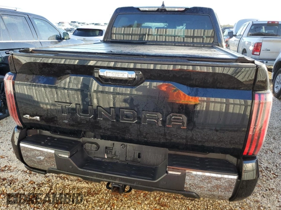 2024 Toyota Tundra 1794 Edition with VIN 5TFMC5DB8RX054569, listed as a Copart auction lot 79186024 with Not provided miles and Non repairable. Bid and sale history available at DreamBid. Image 6.