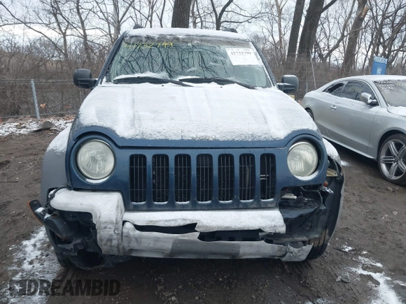 2002 Jeep Liberty Sport with VIN 1J8GL48K32W132617, listed as a IAAI auction lot 41732799 with 202,894 mi miles. Bid and sale history available at carsss.com. Image 13.