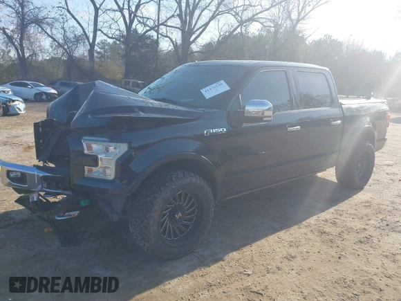 2017 Ford F-150 XL with VIN 1FTEW1EF3HFA84749, listed as a IAAI auction lot 41476220 with 174,958 mi miles. Bid and sale history available at carsss.com. Image 18.