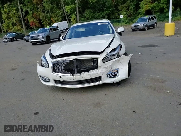 2017 Infiniti Q70 3.7 with VIN JN1BY1PR6HM210685, listed as a Copart auction lot 73644754 with Not provided miles and Salvage title. Bid and sale history available at DreamBid. Image 10.
