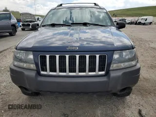 2004 Jeep Grand Cherokee Laredo with VIN 1J4GW48S04C125931, listed as a Copart auction lot 59972695 with 198,403 mi miles and Salvage title. Bid and sale history available at DreamBid. Image 5.