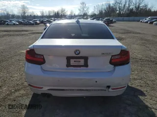 2016 BMW 2 Series 228i with VIN WBA1F9C59GV545896, listed as a Copart auction lot 42260055 with 68,755 mi miles and Salvage Title. Bid and sale history available at DreamBid. Image 6.
