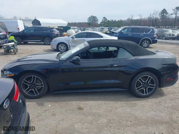 2023 Ford Mustang EcoBoost with VIN 1FATP8UH8P5103211, listed as a IAAI auction lot 41749552 with NaN miles. Bid and sale history available at carsss.com. Image 14.