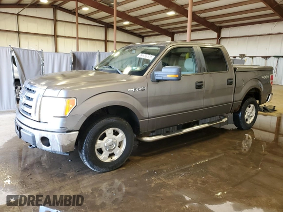 2009 Ford F-150 XL with VIN 1FTRW14879FB39001, listed as a Copart auction lot 53269955 with 123,871 mi miles and Clean Title. Bid and sale history available at carsss.com. Image 1.