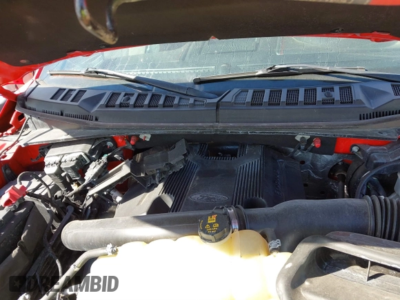 2019 Ford F-150 XL with VIN 1FTEW1E47KFC30060, listed as a IAAI auction lot 41805523 with 67,074 mi miles. Bid and sale history available at carsss.com. Image 10.