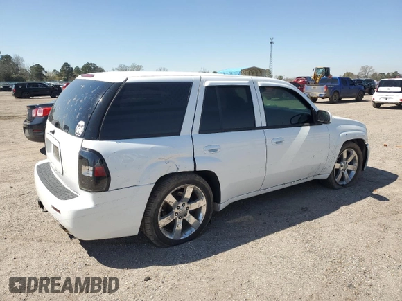2006 Chevrolet TrailBlazer LT with VIN 1GNES13H162311299, listed as a Copart auction lot 48756625 with 94,240 mi miles and Salvage Title. Bid and sale history available at carsss.com. Image 3.