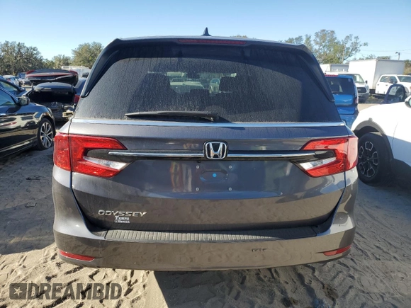 2024 Honda Odyssey EX-L with VIN 5FNRL6H69RB069598, listed as a Copart auction lot 81798314 with Not Provided miles and Salvage Title. Bid and sale history available at DreamBid. Image 6.