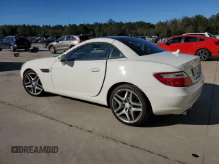 2013 Mercedes-Benz SLK-Class SLK 250 with VIN WDDPK4HA1DF067941, listed as a Copart auction lot 81934424 with 101,404 mi miles and Salvage Title. Bid and sale history available at carsss.com. Image 2.