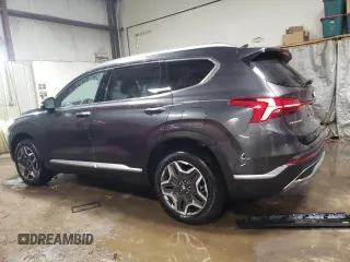 2023 Hyundai Santa Fe Limited with VIN 5NMS4DAL2PH485880, listed as a Copart auction lot 44610855 with 20,015 mi miles and Salvage Title. Bid and sale history available at carsss.com. Image 2.