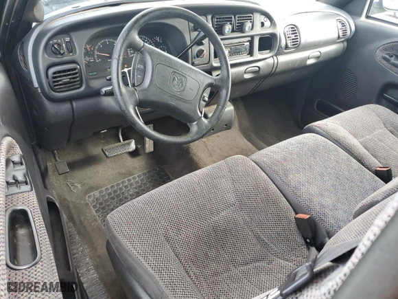 1999 Dodge Ram 1500 with VIN 1B7HC13Z0XJ535229, listed as a Copart auction lot 48399865 with 146,404 mi miles and Salvage Title. Bid and sale history available at carsss.com. Image 8.