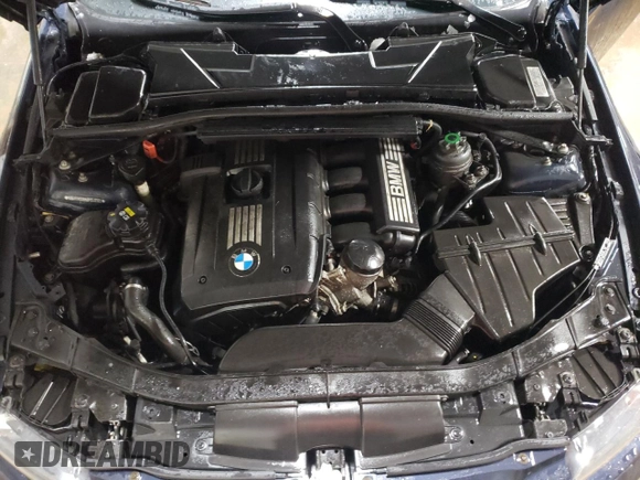 2009 BMW 3 Series 328i with VIN WBAWR33559P343090, listed as a Copart auction lot 41412235 with 175,828 mi miles and Salvage title. Bid and sale history available at DreamBid. Image 11.