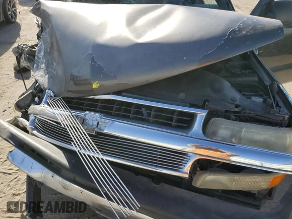 2000 Chevrolet Silverado 1500 with VIN 2GCEC19W1Y1396790, listed as a Copart auction lot 73387324 with 348,603 mi miles and Salvage Title. Bid and sale history available at DreamBid. Image 11.
