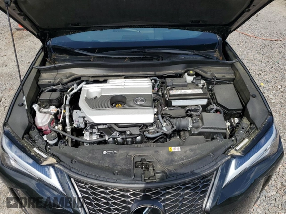 2022 Lexus UX with VIN JTHE3JBH2N2046669, listed as a Copart auction lot 72200434 with 19,880 mi miles and Non Repairable. Bid and sale history available at carsss.com. Image 12.
