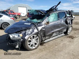 2017 Dodge Durango Citadel with VIN 1C4RDJEG9HC879239, listed as a Copart auction lot 46495005 with Not Provided miles and Salvage Title. Bid and sale history available at carsss.com. Image 1.