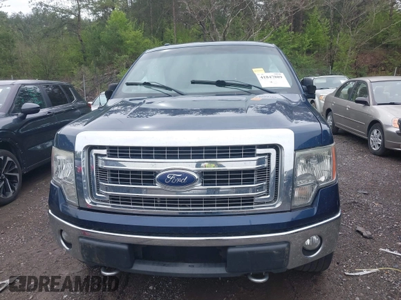 2013 Ford F-150 XL with VIN 1FTFX1EF5DFD80299, listed as a IAAI auction lot 41847889 with 278,128 mi miles and . Bid and sale history available at carsss.com. Image 12.
