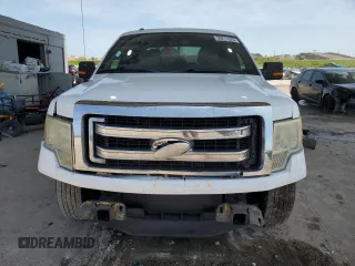 2014 Ford F-150 XL with VIN 1FTEW1CM9EFA41241, listed as a Copart auction lot 56217225 with 256,673 mi miles and Salvage title. Bid and sale history available at DreamBid. Image 5.