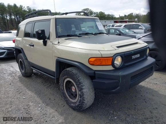 2010 Toyota FJ Cruiser with VIN JTEBU4BF1AK095319, listed as a IAAI auction lot 41721065 with 126,262 mi miles. Bid and sale history available at carsss.com. Image 1.
