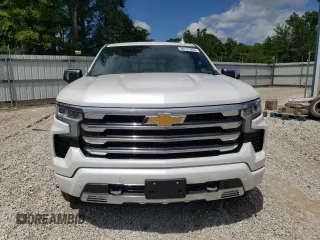 2024 Chevrolet Silverado 1500 High Country with VIN 1GCUDJE88RZ300839, listed as a Copart auction lot 60121904 with 2,069 mi miles and Salvage Title. Bid and sale history available at DreamBid. Image 5.