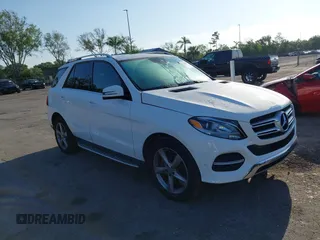 2017 Mercedes-Benz GLE 350 z VIN 4JGDA5JB1HA819273, wystawiony jako IAAI lot #42211855 z przebiegiem 86 971 mil mil oraz . Historia ofert i sprzedaży dostępna na DreamBid. Obrazek 1.