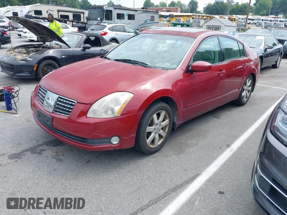 2005 Nissan Maxima SE с VIN 1N4BA41EX5C829726, выставлен на аукционе IAAI как лот 42703976 с пробегом 230 473 миль миль и . История ставок и продаж доступна на DreamBid. Изображение 2.